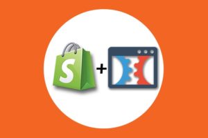 eCommerce: Shopify Dropshipping, Clickfunnels, Facebook Ads