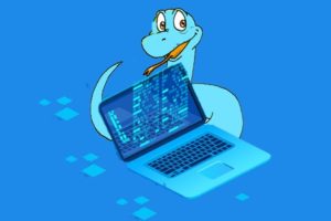 Python Programming for Beginners - Every Code line Explained Course Free