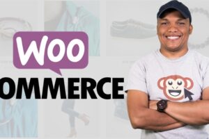 WordPress E-commerce: Build 2 Websites & Dropshipping Store Learn WooCommerce, how to create physical & digital products, set shipping options & tax rates, dropshipping and more