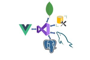 Vue JS and .NET Core Web API Full Stack Master Course learn to create a full stack web application from scratch using .NET Core Web API and Vue JS.