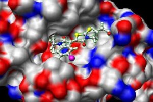 Learn Docking & Molecular Dynamics Simulation From Scratch