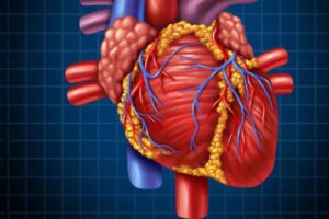 Learn Cardiac Anatomy and physiology from scratch