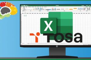 Learning Excel 365 - Advanced (TOSA)