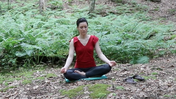 Foundation Skills for a Successful Meditation Practice