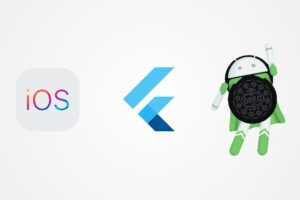 Learn Flutter - Beginners Course