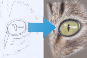 How To Draw a Cat's Eye | Pastel Pencil Techniques