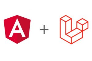 Create modern CRUD web app with Laravel and Angular REST APIs