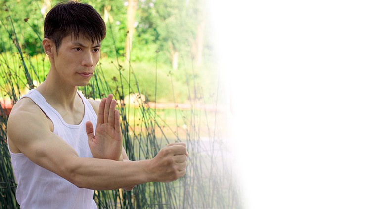 Wing Chun for Beginners I - Learn Martial Arts Kung Fu - Free Udemy Courses