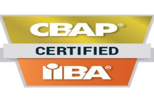 CBAP Prep Training - Free Udemy Courses