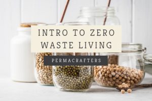 Intro to Zero Waste Living - Free Udemy Courses