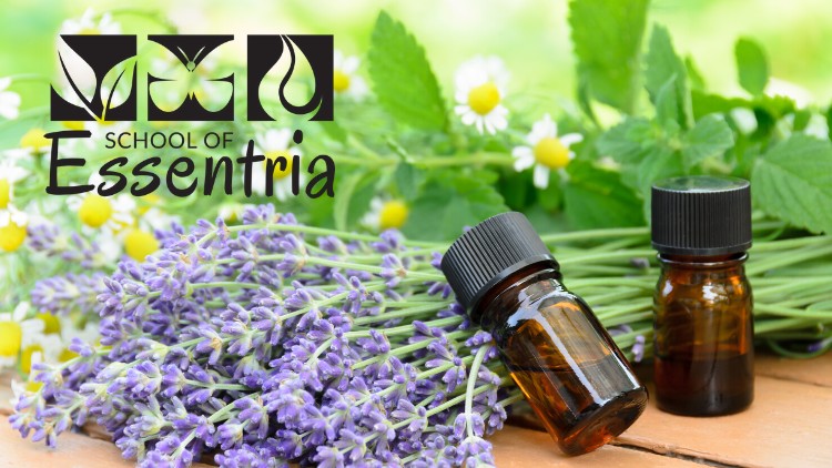 Introduction to Essential Oils - Free Udemy Courses