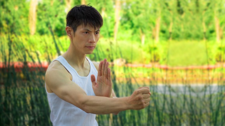 Learn Wing Chun Sil Lim Tao At Home FREE! With David Wong - Free Udemy Courses