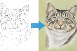 Learn to Draw a Tabby Cat | Amazing Results for Beginners - Free Udemy Courses