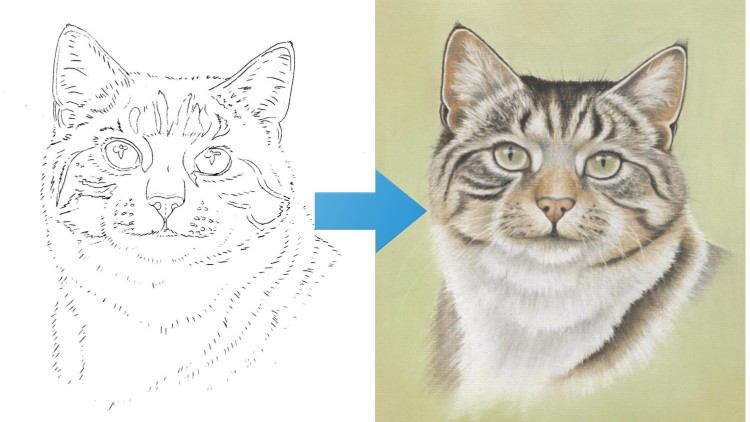 Learn to Draw a Tabby Cat | Amazing Results for Beginners - Free Udemy Courses