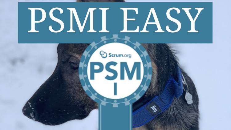 Professional Scrum Master I (PSMI) Easy - Free Udemy Courses