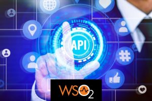 WSO2 API Manager 4.0 Scenario Tutorials - Free Udemy Courses