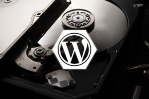 WordPress Backup And Restore Fundamentals - Free Udemy Courses