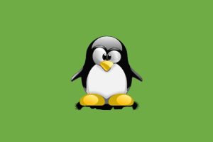 Linux for Devops Engineers and Developers - 2023 FreeCourseSite