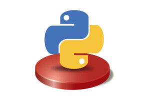 Master Python by Building Real World Python Projects